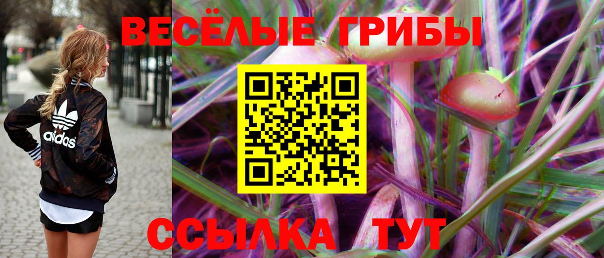 Псилоцибиновые грибы мухоморы  Вход с VPN  Верхняя Пышма 