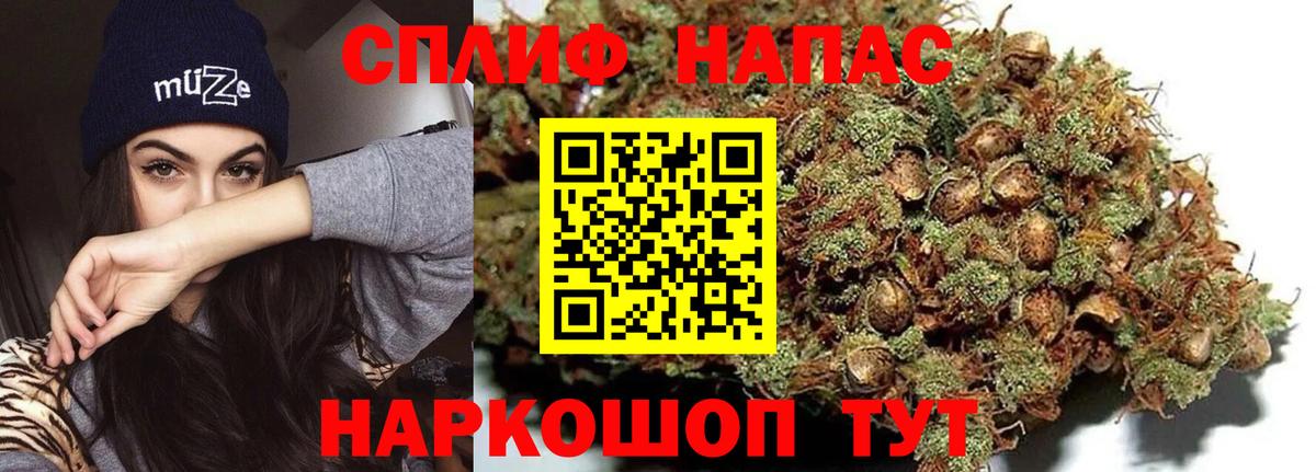 Конопля White Widow  Канабис планчик  МАРИХУАНА MAZAR  Верхняя Пышма  Канабис конопля  Вход с VPN 